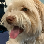 tmgibson27's Avatar'