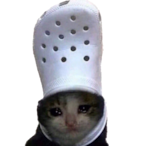 MrSirMatthew's Avatar'