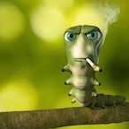 SpingleBingle's Avatar'