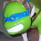 TCREESER's Avatar'