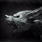 NewYearNewXim's Avatar'