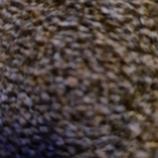 Silvertourist20's Avatar