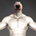 liampiem-'s Avatar'