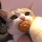 Meowkachuu's Avatar'