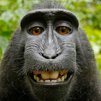 Benjibro34's Avatar'