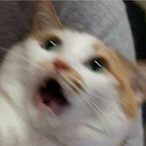 NanalnDoggy's Avatar'