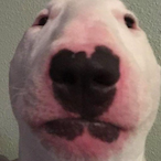 KSZTN_yomenik's Avatar'