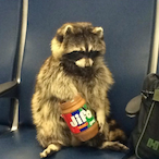 RendyCutie's Avatar'