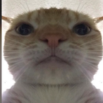 autistic_nephew's Avatar'