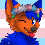NovaTheDutchie's Avatar'