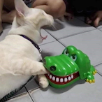 DogDrinksWater's Avatar'