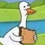 Duckgoquackwack's Avatar'