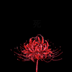 Emilia.bot's Avatar'