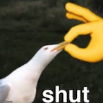 future_failure_'s Avatar'