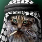 Stillltippin's Avatar'
