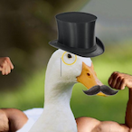MisterQuackers's Avatar'