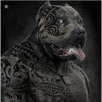 bySxyroLV's Avatar'