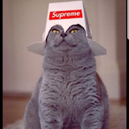 Turbo-Chook's Avatar'