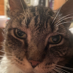 DADDY ASTO's Avatar'