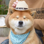 Uhhhfreshy's Avatar'