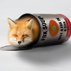 Sleepy--Fox's Avatar'