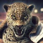 ceide's Avatar'