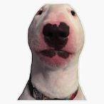 letomaco's Avatar'