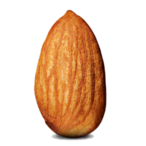 AlmondDevourer's Avatar'