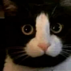 SketchyUncle's Avatar'