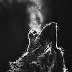 Lone_Wolf018.'s Avatar'