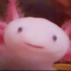 SubciokoCampi's Avatar'