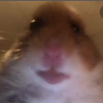 Adrenalplug's Avatar'