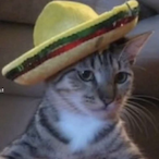 The_BeanKing's Avatar'