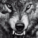 andresnetwork27's Avatar'