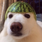 terribIeray's Avatar'