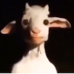 Schizo.Slug's Avatar'