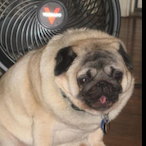 Tuxplays 32's Avatar'