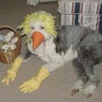 JustKeepOnSwingn's Avatar'