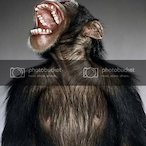 GIRINOXPERMA's Avatar'