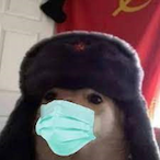artmann2oo's Avatar'