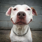 ejtherRimuru's Avatar'