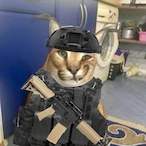 AzraTheLoneWolf's Avatar'