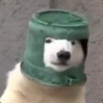 MrAnimeTitties's Avatar