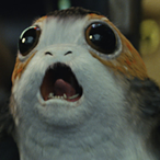 Zaclos_Kiwi's Avatar'