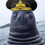 Sir_Bull's Avatar'