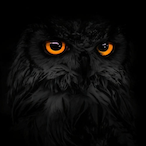 llllllll-l-'s Avatar'