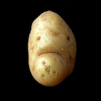 PeoTaeToes's Avatar'