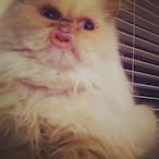 I1uvximming's Avatar'