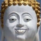 R6lvl20's Avatar'