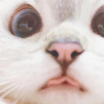 EgirI Matrix's Avatar'